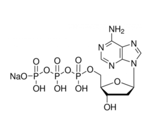 Раствор натриевой соли 2'-дезоксиаденозин-5'-трифосфата 10 мкм Sigma D6920