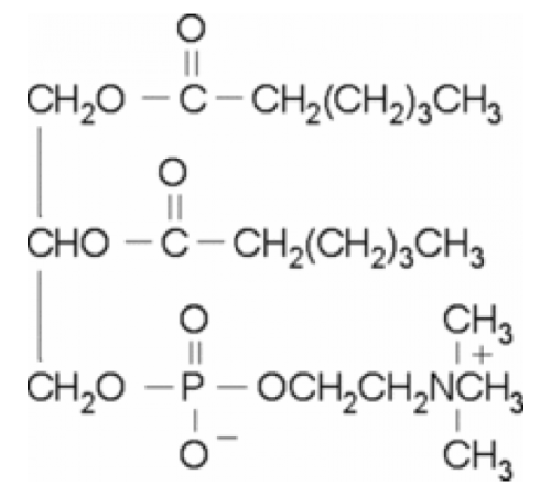 Раствор 1,2-дигексаноил-sn-глицеро-3-фосфохолина, 20 мкг / мл в хлороформе, 99% Sigma P4148
