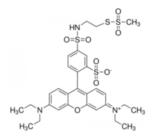 Сульфородамина метантиосульфонат 95% (степень связывания) Sigma 91256