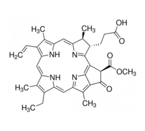 Феофорбид- 90% (ВЭЖХ) Sigma SML1218