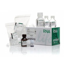 Набор RNAqueous Total RNA Isolation Kit, Thermo FS