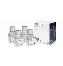 Буфер GeneAmp PCR Gold Buffer & MgCl, 10X, Thermo FS